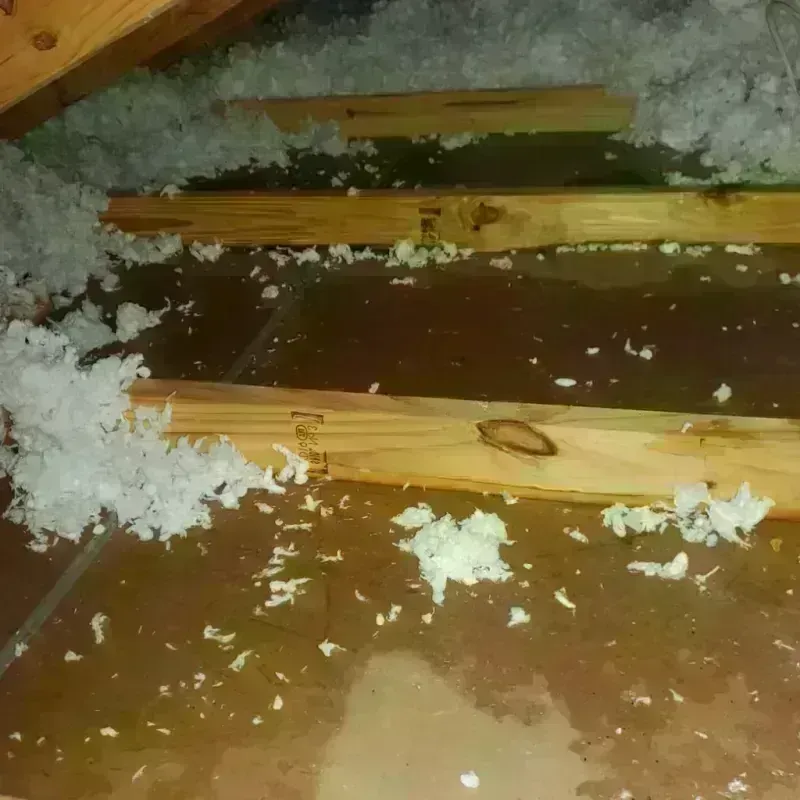 Attic Water Damage in Lisbon, ME